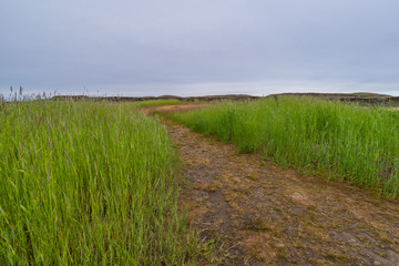 Green plateau over waterfall in the Palouse falls state park, Eastern Washington.