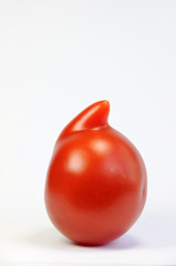 Standing nosy tomato