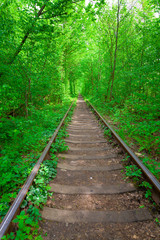 Obraz premium a railway in the spring forest tunnel of love