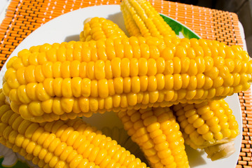 Corn on the plate.