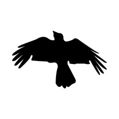 The crow icon. Bird and flight, eagle symbol. Flat Vector illustration