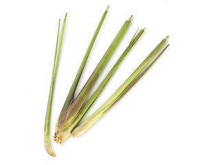 lemon grass isolated on white