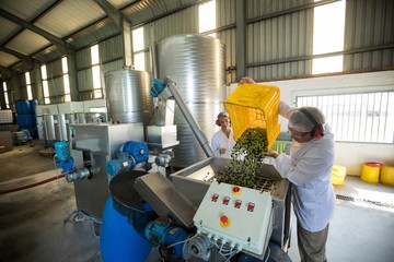 Workers working together near production line