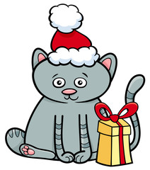 kitten with gift on Christmas time