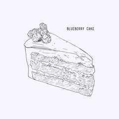 Blueberry layer cake, hand drawn sketch water color line art vector.