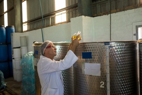 Technician examining olive oil