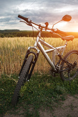 Fototapeta na wymiar Sports bike on the evening wheat field.