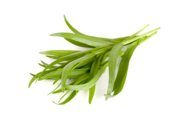 tarragon isolated on a white background. Artemisia dracunculus