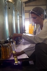 Female technician examining olive oil