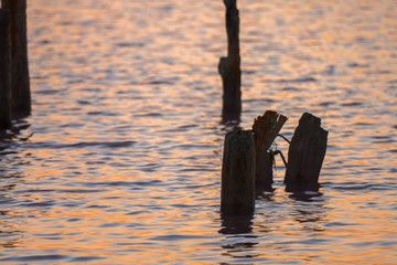 Fototapeta premium Ruined wooden pier on lake / Ruined wooden pier on lake at sunset
