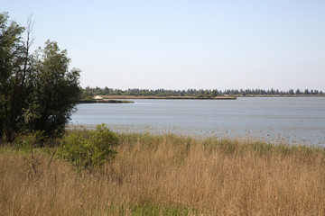 Dutch top nature reserve Oostvaardersplassen, Flevoland, Netherlands