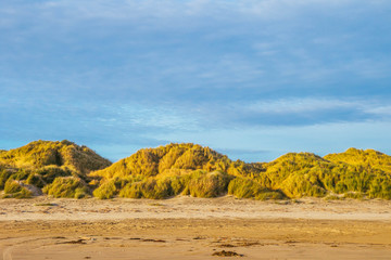 Oreti Beach Dunes, New Zealand