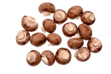 Gray mushrooms champignons isolated on white background