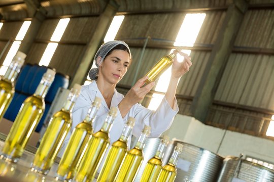 Technician examining olive oil