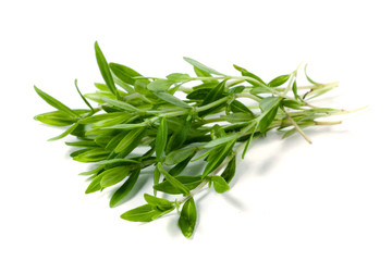 Thyme fresh herb isolated on white background