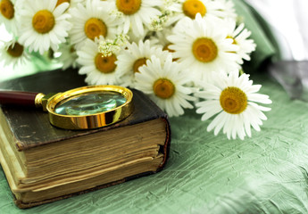 Old book and magnifier