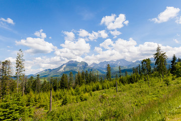 Beautiful Tatry Rusinowa Polana landscape © sitriel
