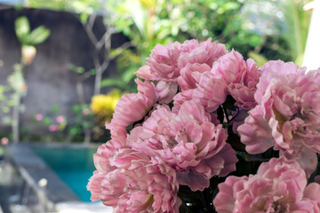 Tropical floral pattern. Exotic leaves and flowers. Bali garden. Indonesia.