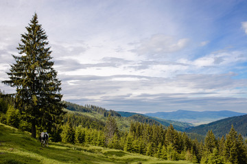 Landscape in the mountains of romania
