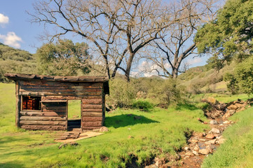 Country landscape with wooden cabin on green meadow