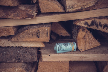 A pile of wood, firewood. Between the logs a bundle of money is hidden. These are hundred-dollar bills. Background or backdrop.
