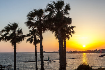 Fototapeta na wymiar Palm trees on coean shore at sunset