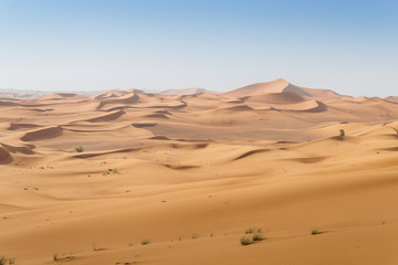 Fototapeta na wymiar Patterns in the desert sand of the United Arab Emirates