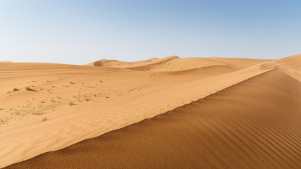 Fototapeta na wymiar Patterns in the desert sand of the United Arab Emirates