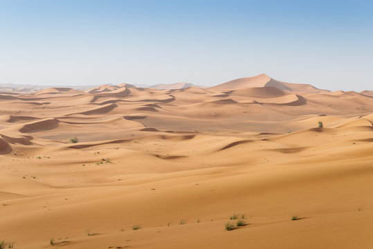 Patterns in the desert sand of the United Arab Emirates