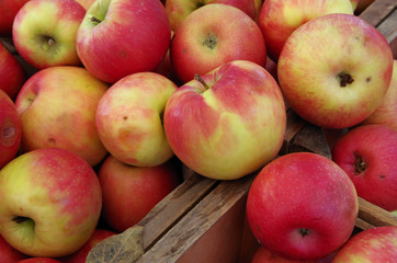 Apples piled in wooden crate for farmers market