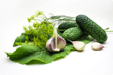 Cucumbers, garlic, dill and horseradish isolated on white background