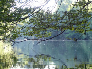 Fliegen auf dem Bärensee Stuttgart Nr.5