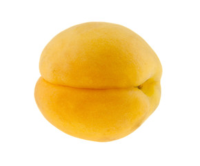 apricot isolated on white background closeup