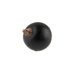 Black currant isolated on white background