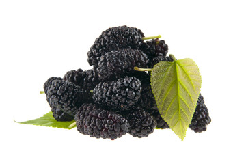 Mulberry isolated on white background close-up