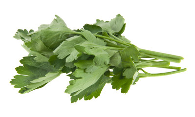 Parsley leaves isolated on white background