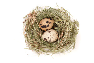 Naklejka na ściany i meble Two quail eggs in a nest isolated on white background. Top view