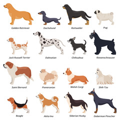 Profile Dogs Icon Set