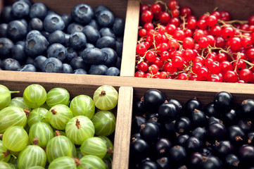 Red black currant blueberry gooseberry in a wooden box