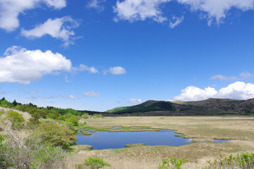 Fototapeta premium 八島湿原