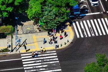 Obraz premium 旅行者