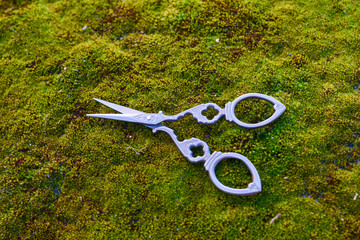 Obraz premium Vintage french scissors.