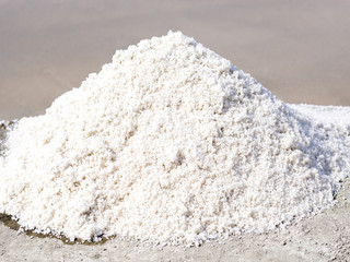 Récolte du sel à Ars en Ré