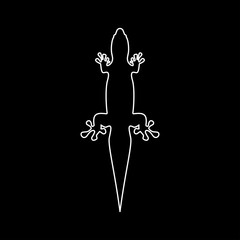 Lizard   the white path icon .
