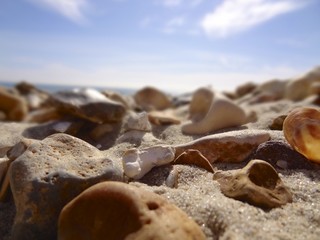 Stony Beach and Sky