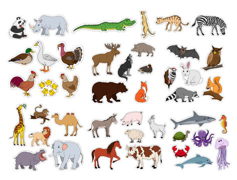 Big animals set, illustration with animals collection isolated on white background