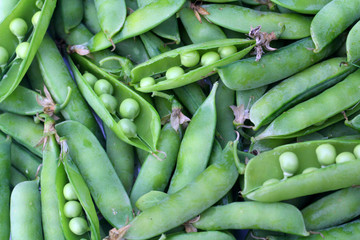 Green Peas Background. Organic Food.
