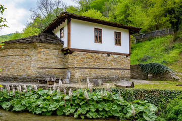 Fototapeta na wymiar Old traditional Bulgarian house with stone basis and near river and surrounded by a river and green plants and trees. Shot in Etar, Gabrovo, Bulgaria