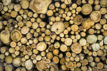 Möbelaufkleber Firewood © tichr