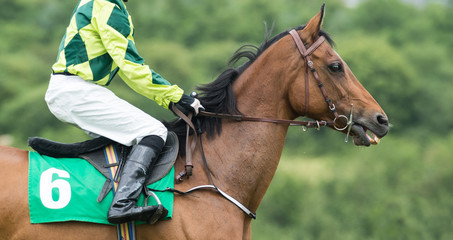 Jockey on a race horse
